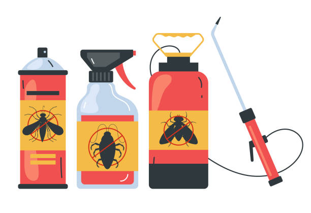 Best Wasp Removal Services  in Deer Park, WA