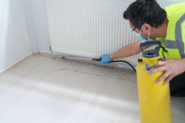 Best Insect Control  in Deer Park, WA