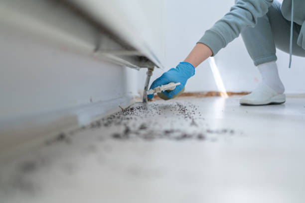 Best Pest Inspection Near Me  in Deer Park, WA